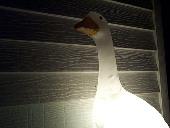 submit or the glowing goose will gooble ya gases