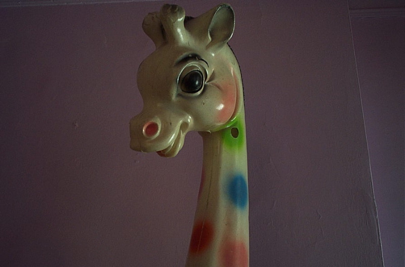 click my plastic giraffe eye to vote for randa jarrar!!!